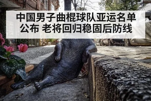 中国男子曲棍球队亚运名单公布 老将回归稳固后防线